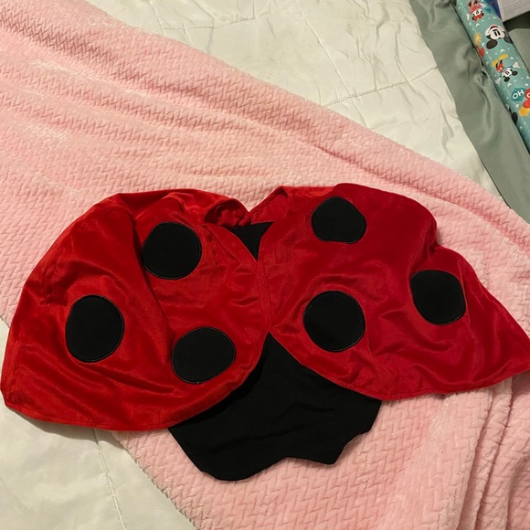 Costume Ladybug cape and handmade boutique linen cotton antenna bonnet 12-18 EUC - Picture 4 of 11
